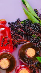 elderberry plant with syrup bottle