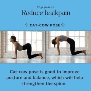A woman doing the Cat-Cow Pose.  It is known to reduce back pain.